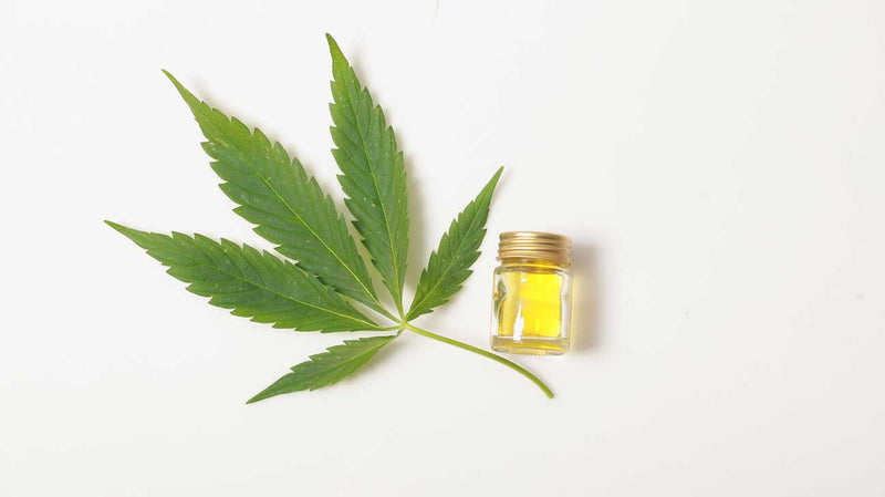 Woman Claims That Vaping Cannabis Oil Got Rid Of Her Eczema